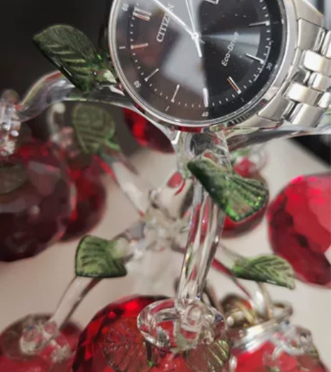 西铁城7250/725188E黑盘有购买记...