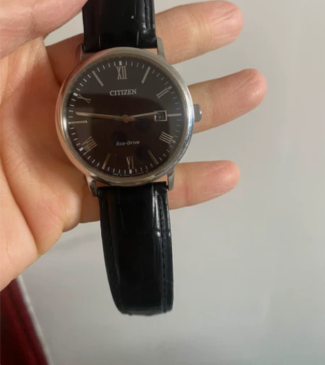 西铁城Citizen男士光动能石英腕表，本...