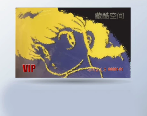 乱马新装版VIP卡 高桥留美子收藏卡片 全...