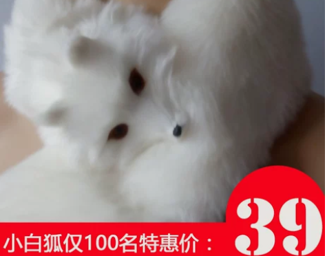 女士围巾冬季韩版个性女生青年学生狐狸头仿皮...