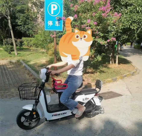 【工厂亏本晒卖】全新新国标48v12a锂电...