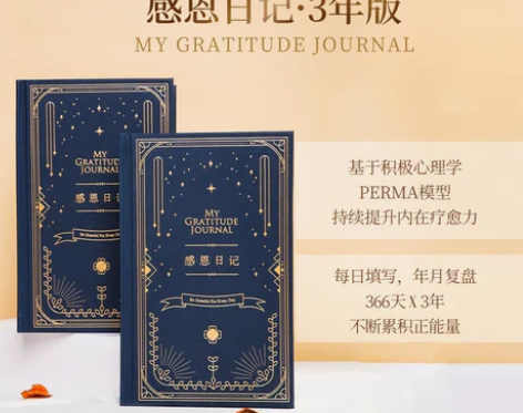 日记本 笔记本记事本日记本感恩日记·3年|...