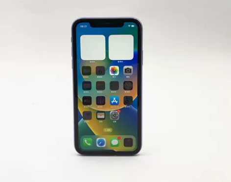 Apple/苹果 苹果 iPhone 11...