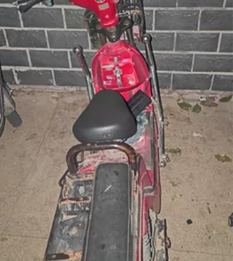 台铃电动车 载重王车型 装了智能芯 可以手...