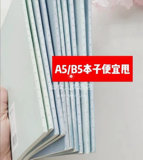 【捡漏2.9全新包邮】A5，B5笔记本学生...