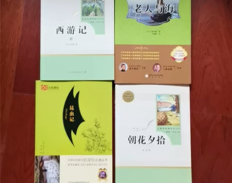 中考必读书籍，考试必备，西游记，朝花夕拾，...