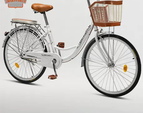 ?凤之星 通勤自行车  全新，只使用三次，...