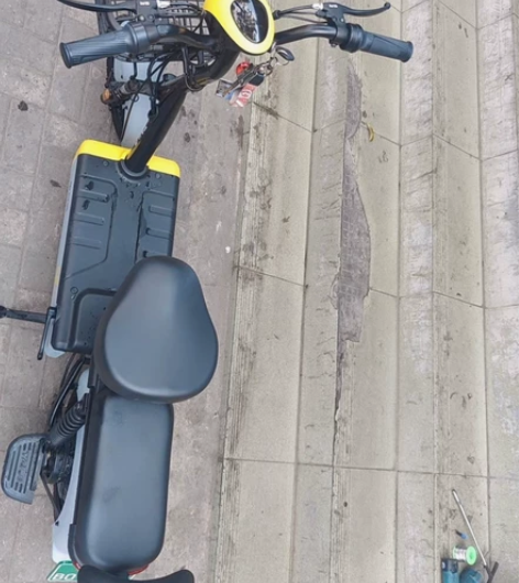 台铃电动车，新国标自行车款，小香果，成色9...