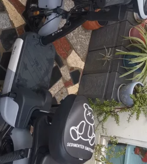 九成新台铃电动车，去年秋季开学买的，小孩子...