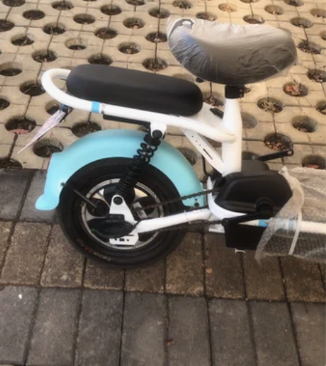 【狂欢价】新大洲电动车 PALLA新国标电...