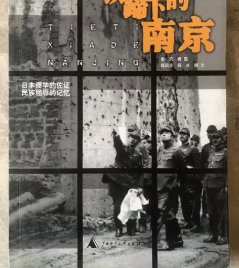 铁蹄下的南京 侵华佐证 秦风，辑图   2...