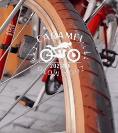 凤凰复古自行车.全车手工皮具.全网只有一辆...