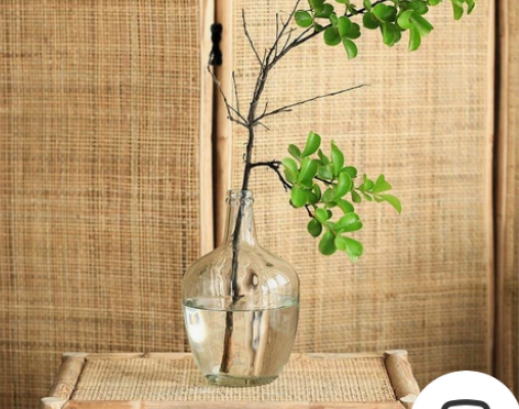 北欧简约大肚玻璃花瓶日本吊钟马醉木插花水培...