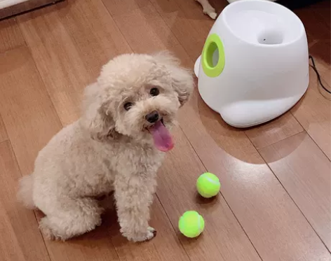 狗狗玩具球网球发射器自动扔球发球投球弹球机...