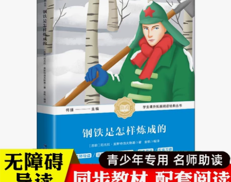 钢铁是怎样炼成的学生版正版包邮原著青少年初...