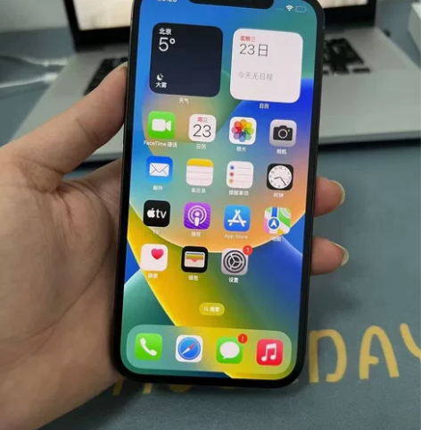 特价捡漏苹果12proMax128G 苹果...