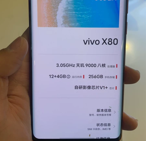 vivo x80 12+256旅橙色演示样...