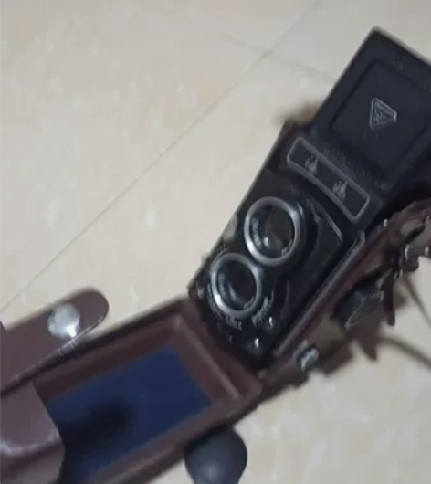 海鸥120双反，带皮套，可小刀。机器不做描...