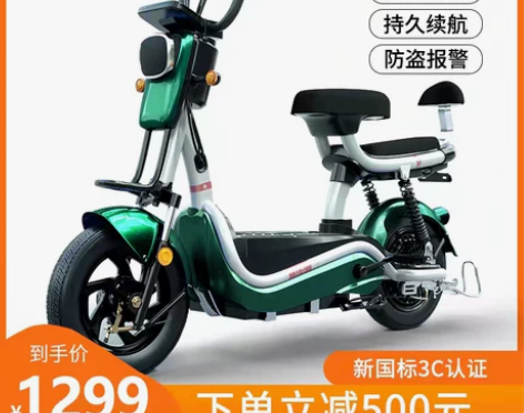 新国标电动车48V电瓶车双人电动自行车锂电...