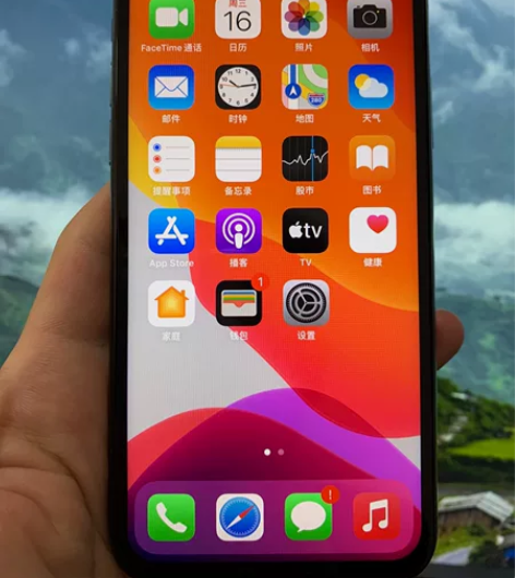 iPhone X 美版 64g 卡贴机 成...