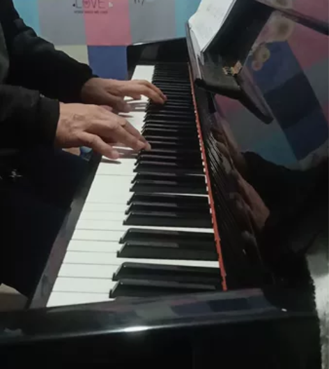 德国进口钢琴，功能完整无损坏，刚调过音，音...