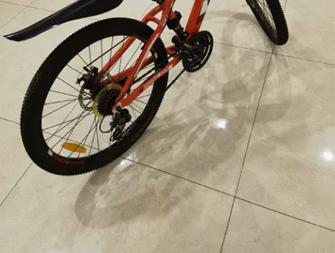 闲置的喜德盛山地自行车RISING SUN...