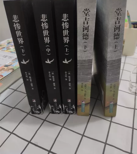 包邮《堂吉诃德》+《悲惨世界》 中央编译出...