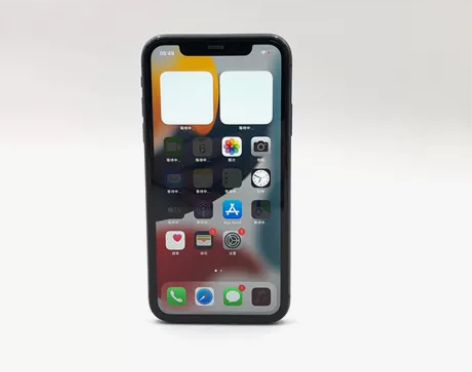 Apple/苹果 苹果 iPhone 11...