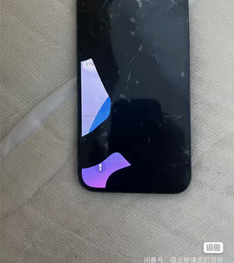 苹果12promax，国行256，前几天闲...