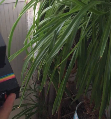 宝丽来635相机宝丽来600相机宝丽来60...