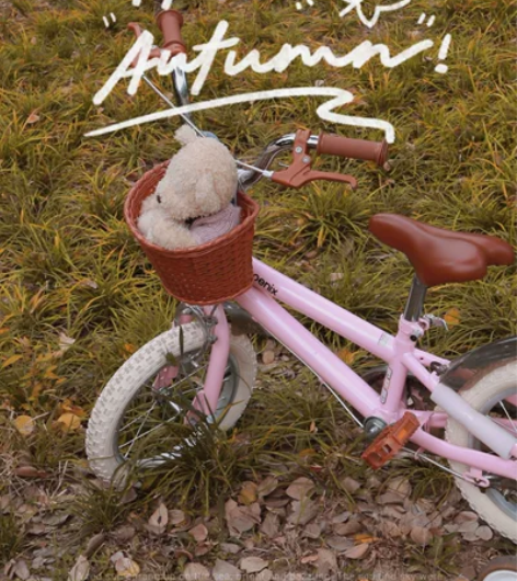 凤凰儿童自行车3岁宝宝脚踏单车2-4-6岁...