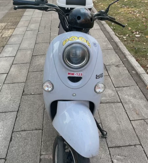 自用新国标台铃电动车 续航50km 原装充...
