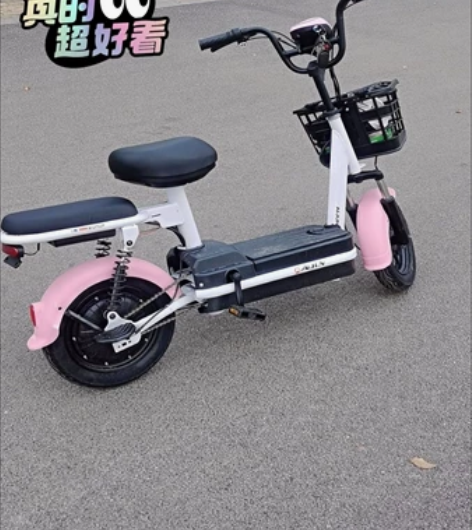 新款电动车爱玛台铃同款全新电瓶车锂电池新国...