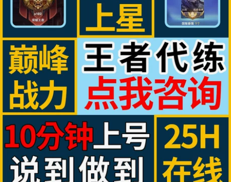 10分钟上号 王者荣耀代练代打陪打排位上分...