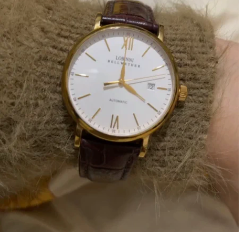 手表男士 罗宾尼机械大表盘罗马数字带日期 ...