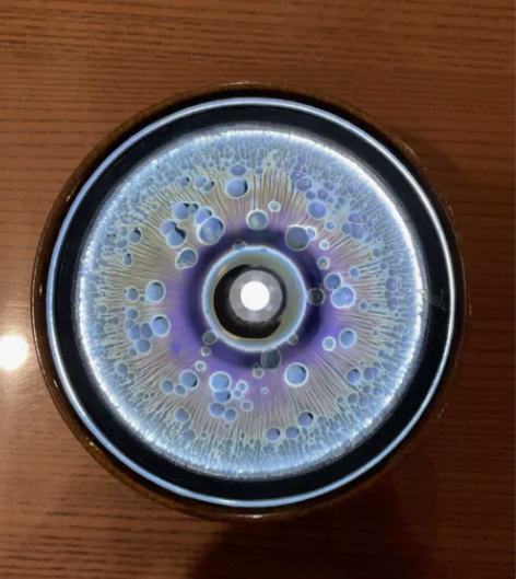 叶大泗传人,沈元旺,第四块曜变,轩辕无上曜...