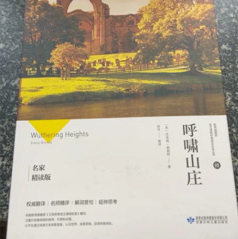 书 《呼啸山庄》 全新 搬家转卖 感兴趣的...