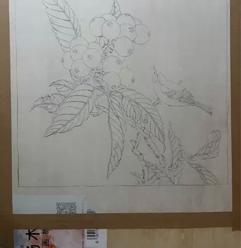 枇杷山鸟图白描，纯手绘，蝉翼熟宣纸、一得阁...