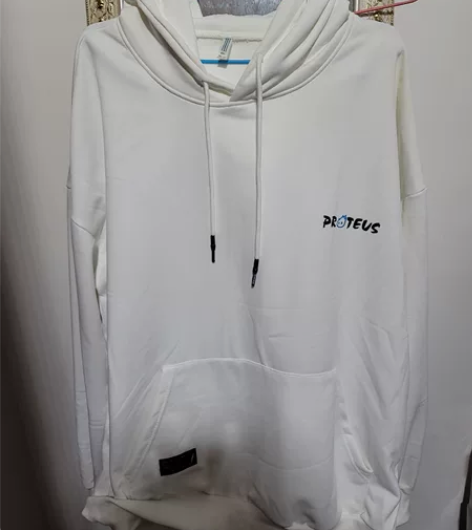 ProteusBoy卫衣男加绒加厚连帽休闲...