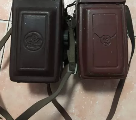 老相机海鸥已出,还剩牡丹一个,好不好使不知...