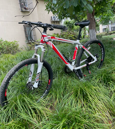 转闲置SAVA萨瓦M-1山地车24速一台，...