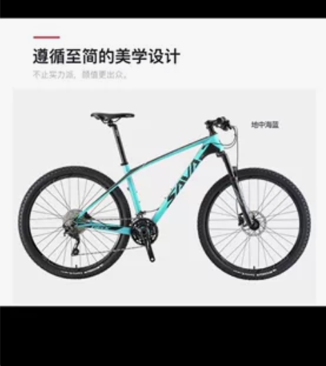 Sava碳纤维山地车5月份购入，9成新无磕...
