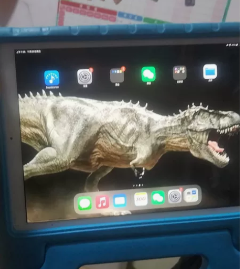 苹果ipad por12.9寸二代64g ...