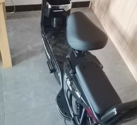 飞鸽电动车，48V，24Ah，2021年1...