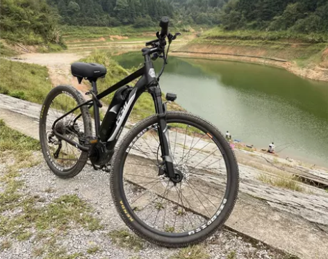 PESU倍速出行E-Bike白鲨SHARK...