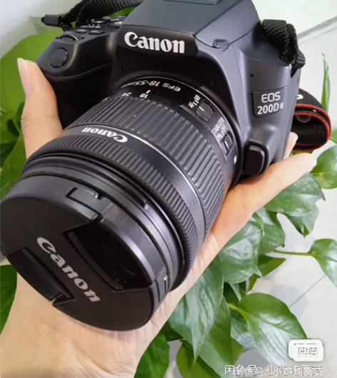 佳能200D18-55镜头二代套机出 刚拍...