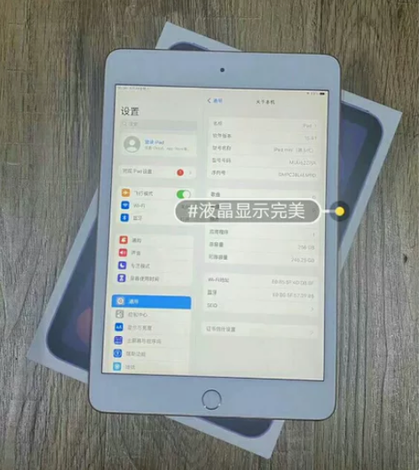 iPadmini 5 2019款256G ...