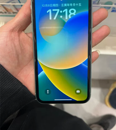 iPhone 11国行256 换过电池，电...