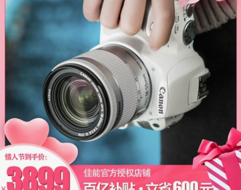 Canon/佳能 200D 入门级单反相机...