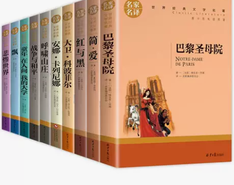 世界十大名著全套10册 简爱书籍 巴黎圣母...